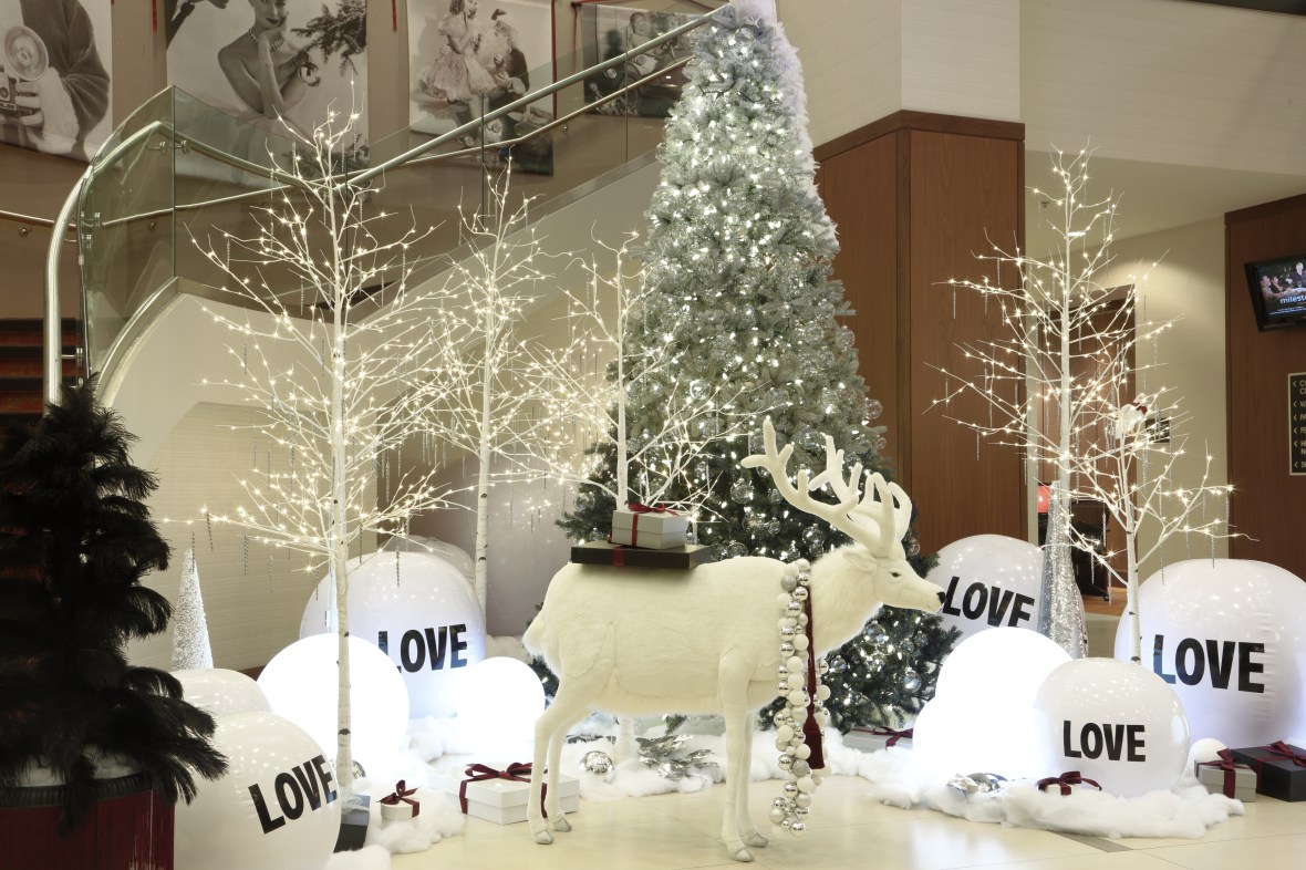 christine-dovey-marriott-on-the-falls