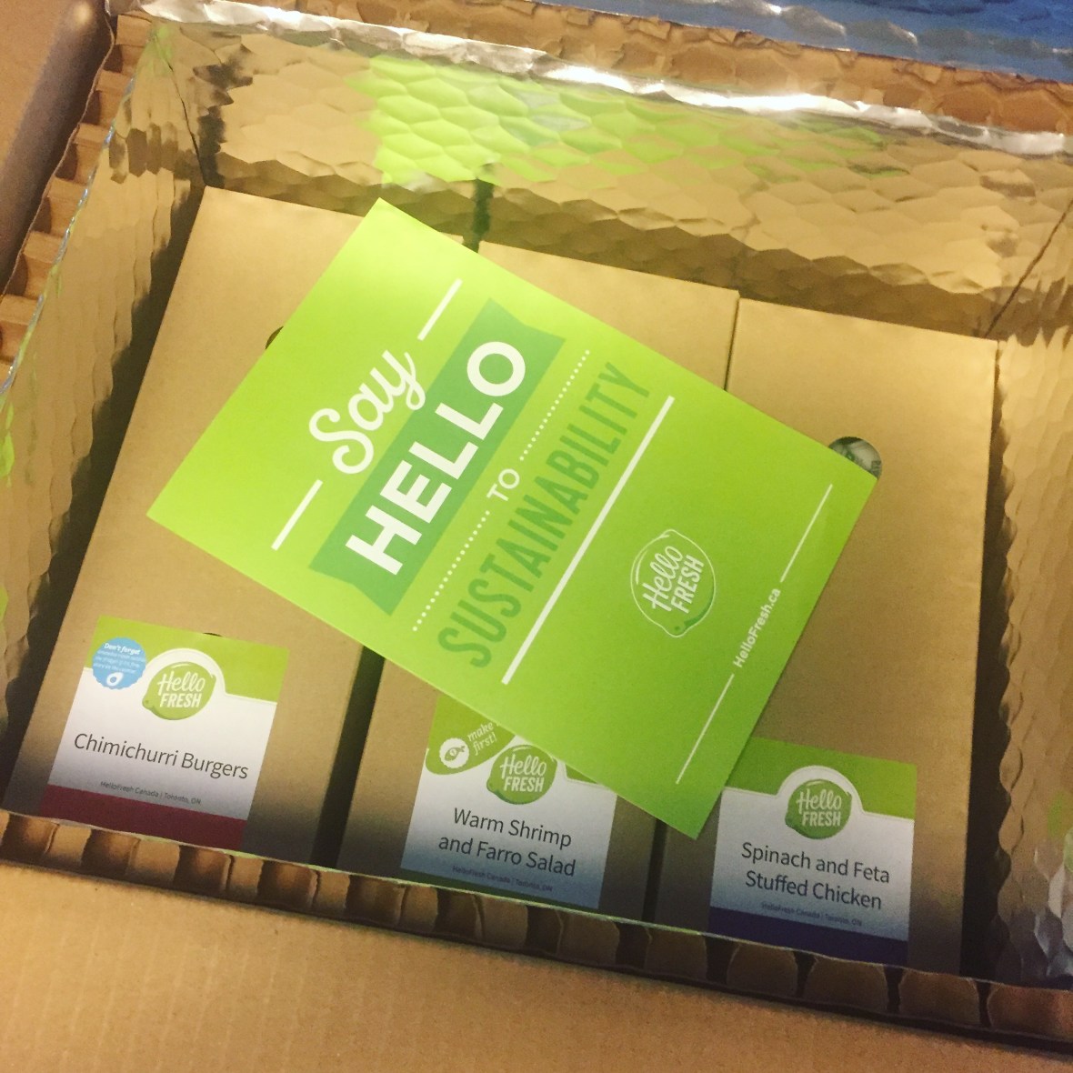 20170118_155031700_ios