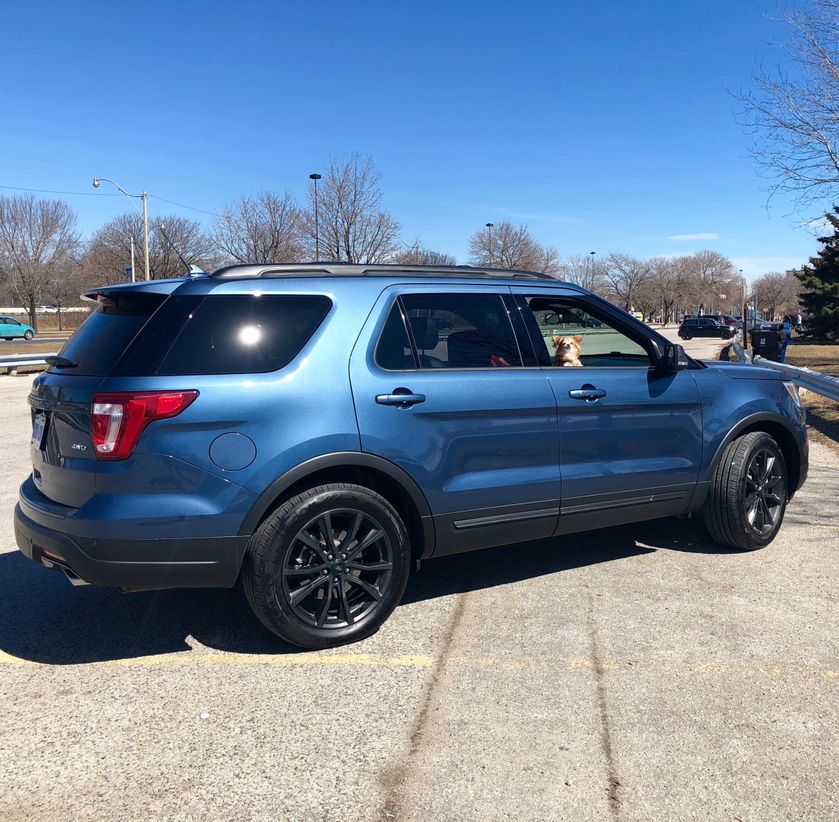 20180323_174351227_iOS