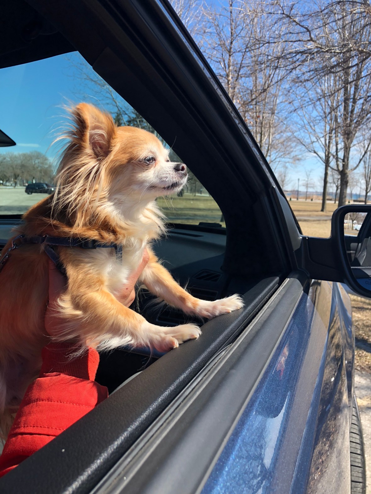 20180323_174410363_iOS