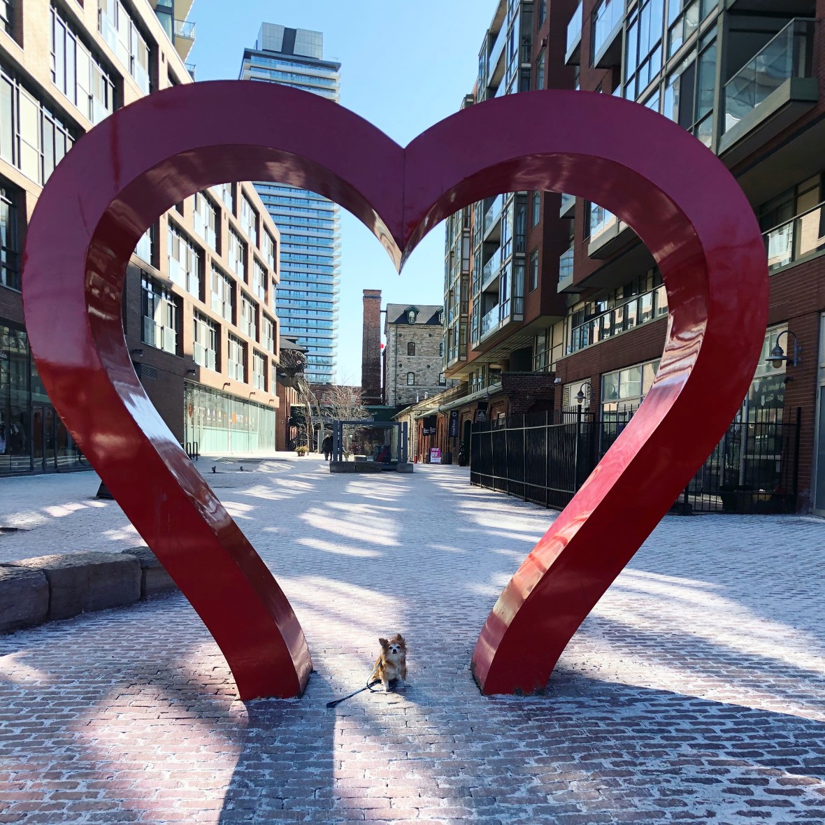 20180324_143701008_iOS