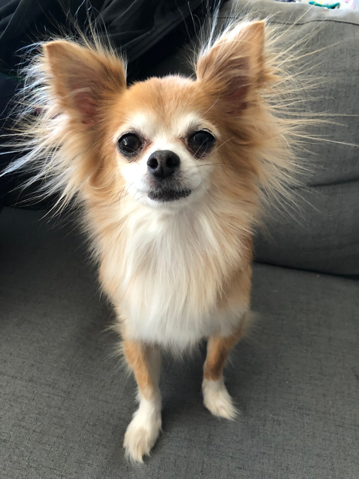 20180324_165558176_iOS