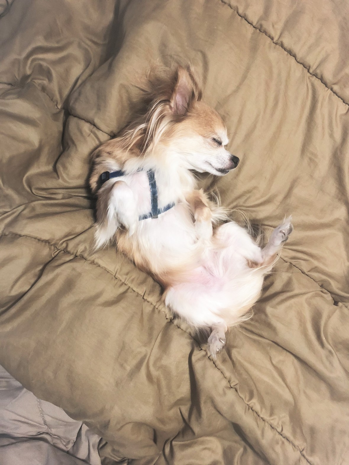 20180324_204054317_iOSedit