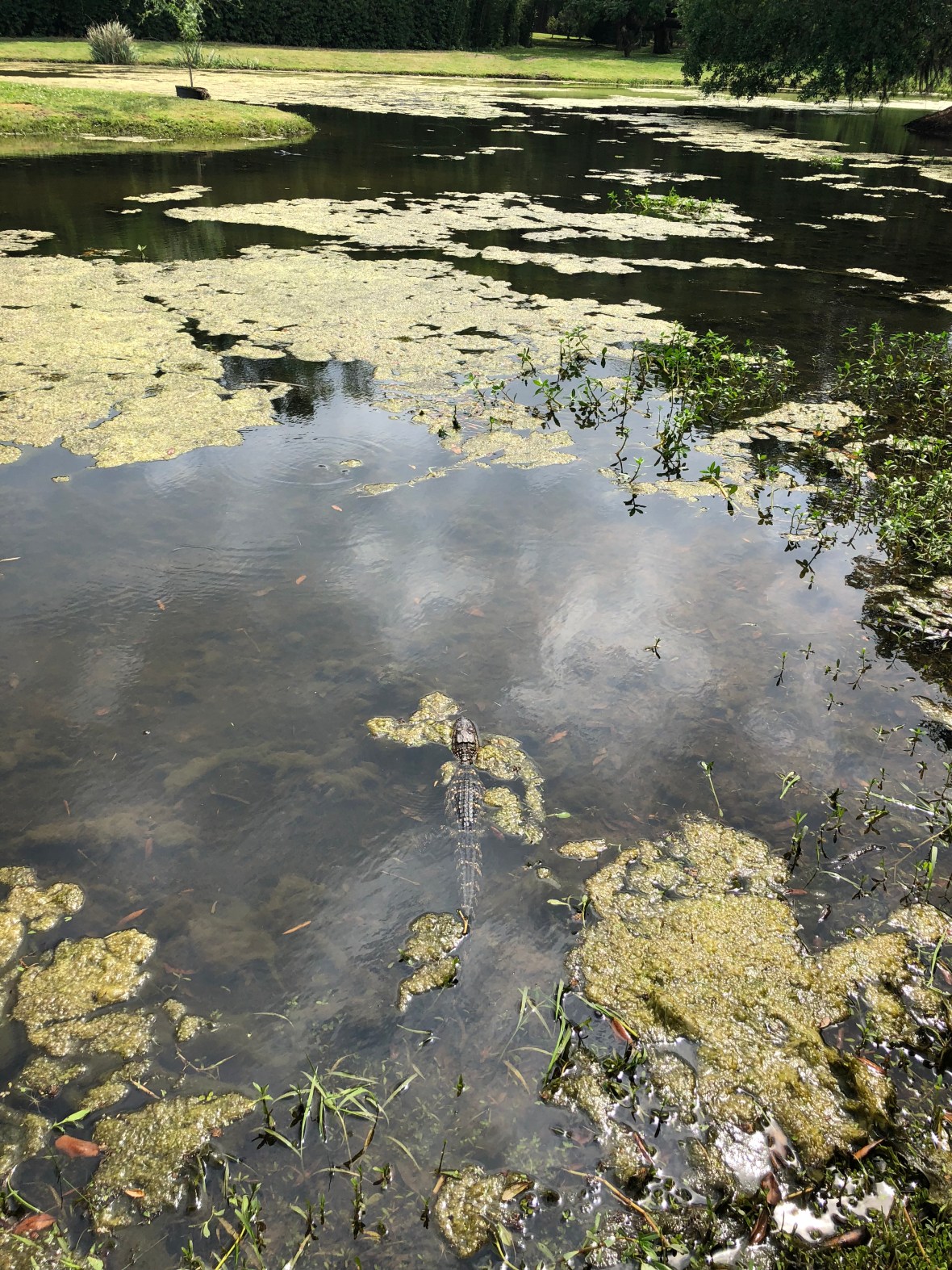 20180328_193228846_iOS