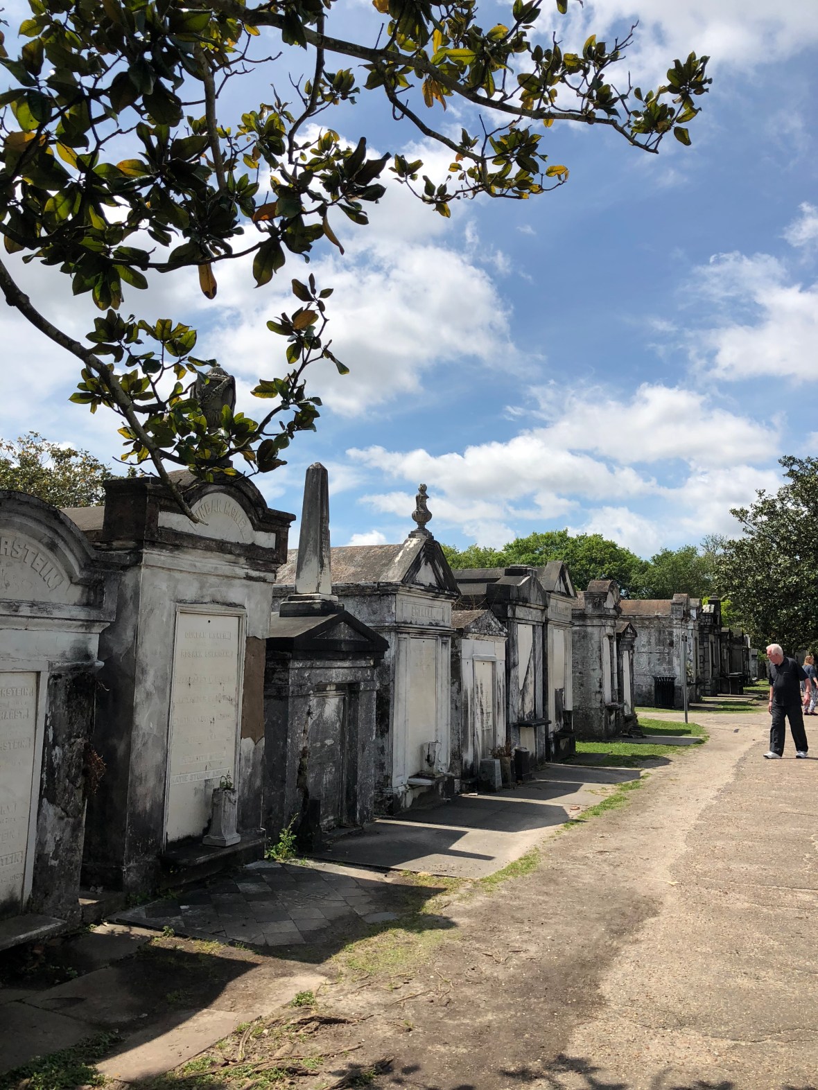 20180330_171558161_iOS